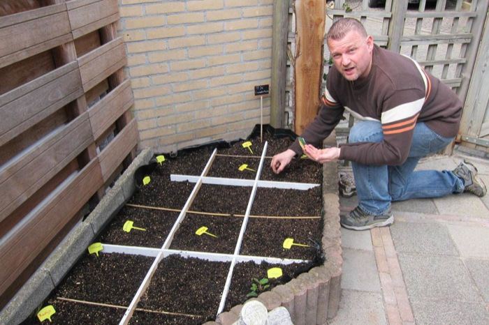 Zaaien in de gevulde moestuinbak.